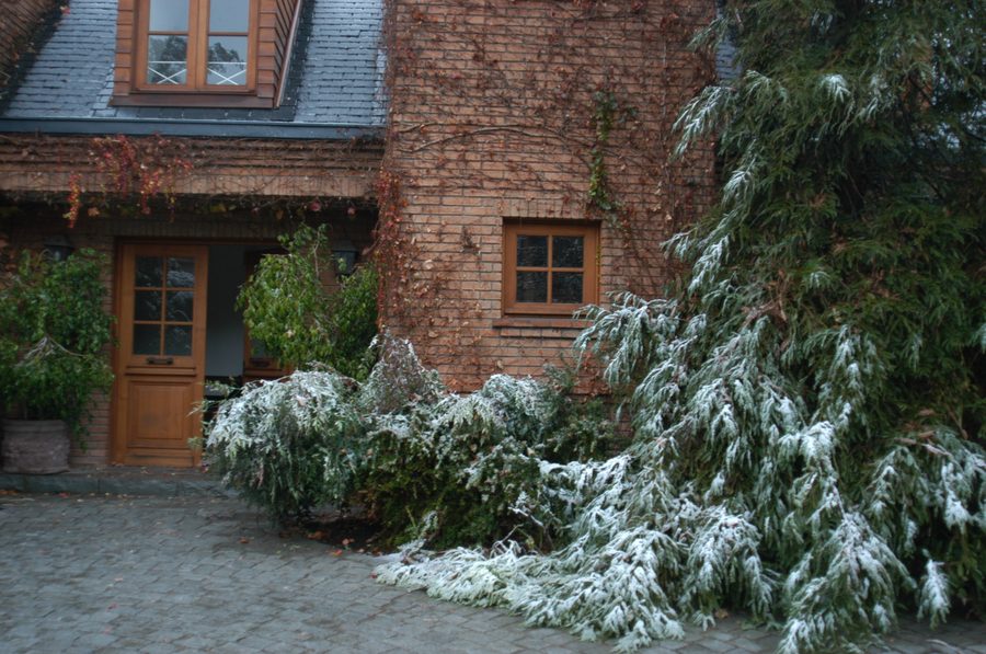 La entrada en invierno