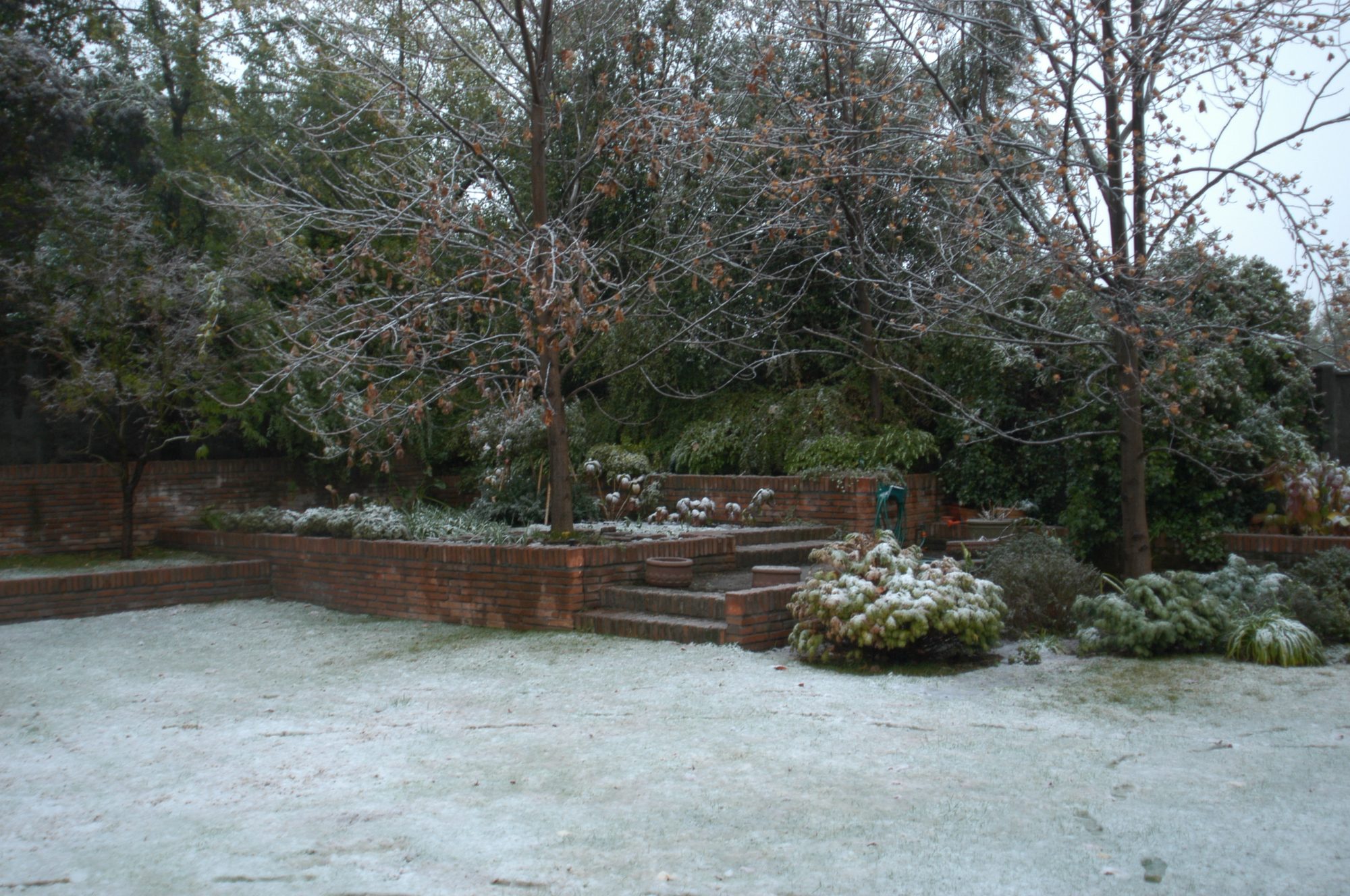 El día que nevó